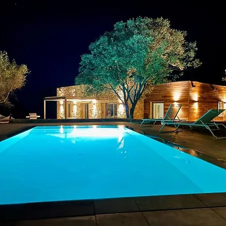 Magnifique Avec Piscine Villa Pietra Moneta