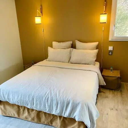 Magnifique Avec Piscine Pietra Moneta